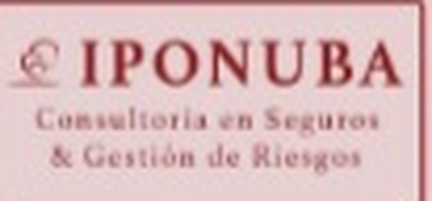 IPONUBA Consultores